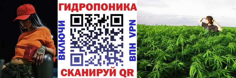 Марихуана ГИДРОПОН  блэк спрут как войти  Камешково 